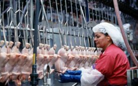 A Generation of Injustice at Tyson Foods