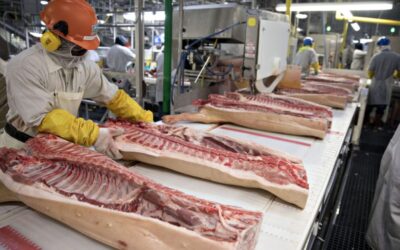The Biggest Recent Union Wins Were in Art and Bacon