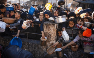 ‘Horrifying’: UN condemns Israel’s ongoing Gaza assault as more starving aid seekers killed