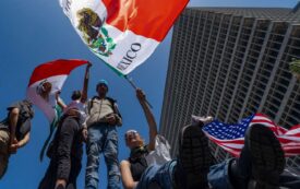 From the City to the Suburbs, First-Time Protesters Are Showing Up