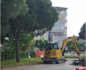 Il Consiglio territoriale di Castiglione ospita i pini di viale Romagna giovedì 12 giugno. Invitati tutti i cittadini.