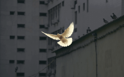 A Time for Peace in Europe and Asia