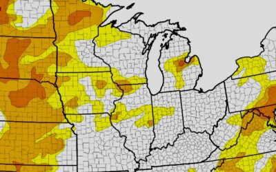 Drought, Climate Chaos and War
