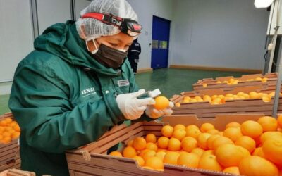 Perú: regiones de costa y selva lideran exportaciones agrarias
