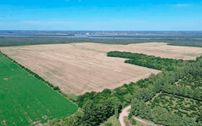 Argentina – Uruguay: conflicto por una planta de hidrógeno verde