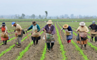 Colombia: tierra que produce, pueblo que resiste – Por Fernando Rizza