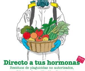 Los alimentos cotidianos están contaminados por 130 plaguicidas, un 23% más que el año anterior
