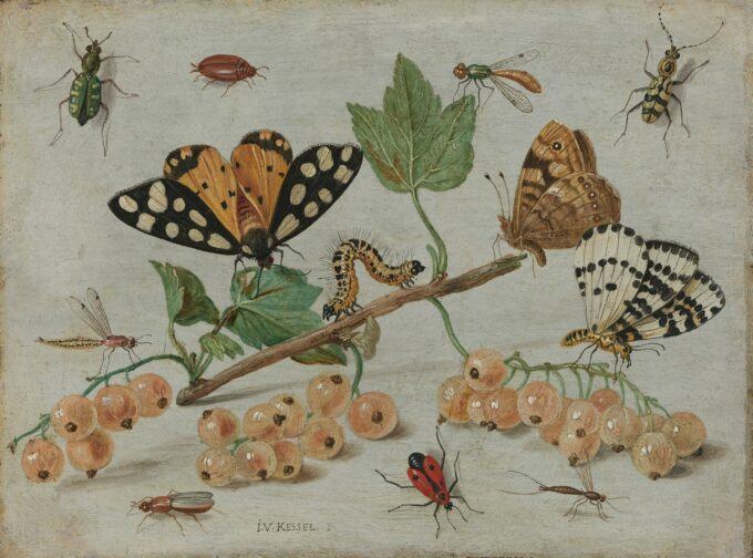 Plummeting Insects