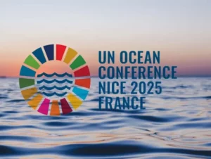 18 New Countries Ratify High Seas Treaty at 2025 UN Ocean Conference