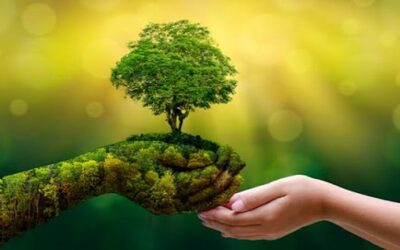 Naciones Unidas y el Día Mundial del Medio Ambiente