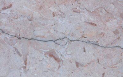 Cracking My Shell: Thoughts on Emotional Detachment & the Gaza War