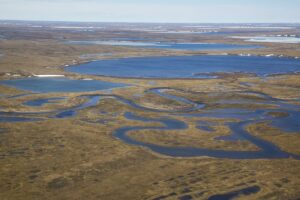 Trump Officials Open Millions of Acres of Alaska Wildlands to Oil and Gas Drilling