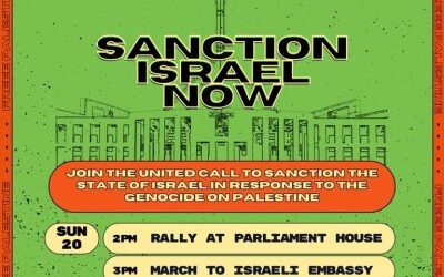 Palestine activists to demand 48th parliament sanctions Israel