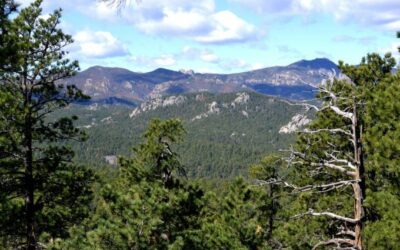 Brian Nesvik is the Wrong Choice to Lead the U.S. Fish and Wildlife Service