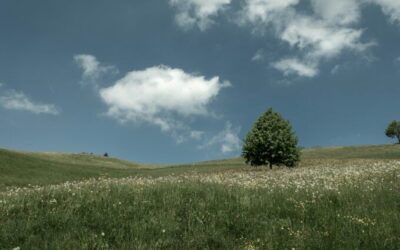 Summer Solstice 2025