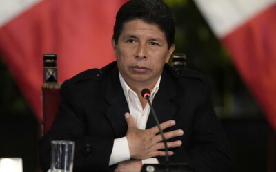 El derecho político – Por Guido Leonardo Croxatto y Eugenio Raúl Zaffaroni