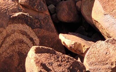 Woodside’s gas extension threatens the Ngurra-ra Ngarli people