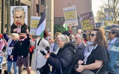 NSW Labor’s anti-protest laws challenged by Palestine Action Group