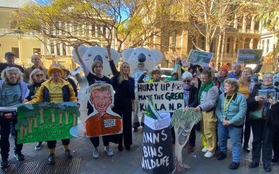 NSW Labor again delays the Great Koala National Park