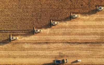 Medicaid enrollees targeted for forced farm work under Trump immigration crackdown
