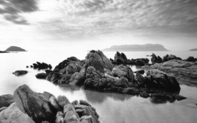 Nuove visioni della Sardegna