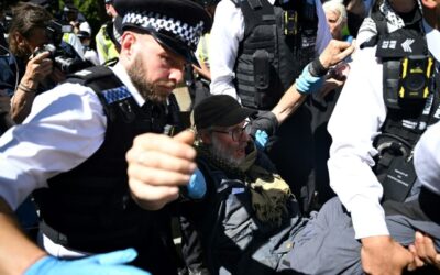 Le Nazioni Unite chiedono al Regno Unito di revocare il divieto del gruppo Palestine action