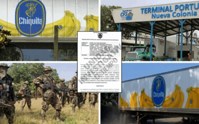 Colombia | La justicia condenó a siete ejecutivos de Chiquita Brands por financiar grupos paramilitares