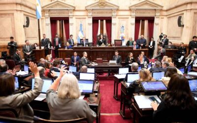 El año delegado