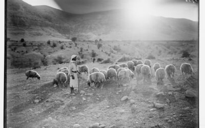 Palestine and the Commons: Or, Marx and the Musha’a