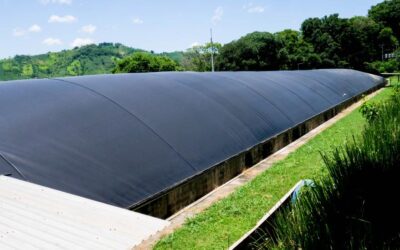 El biogás, una solución a la contaminación avícola en El Salvador