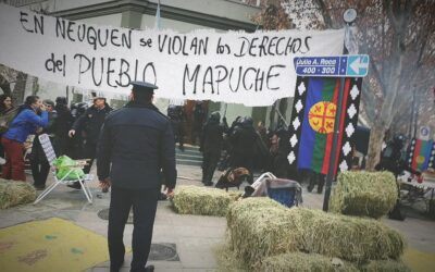 La ley del palo