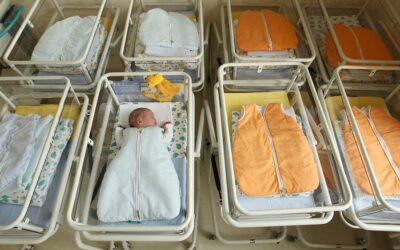 The Challenge of Low Birth Rates for the Socialist Project