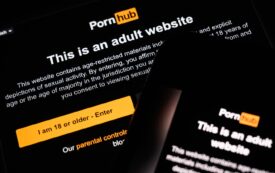 Democrats Should Become the Pro-Porn Party