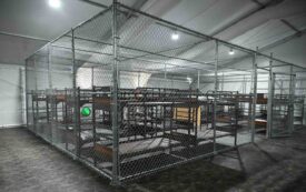 From KGB Cells to Alligator Alcatraz: How Authoritarians Normalize the Grotesque
