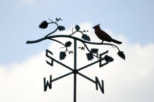 The Shifting Compass of Global Power: From West to East