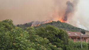 Incendio en Ávila o las consecuencias del abandono en la gestión forestal durante décadas