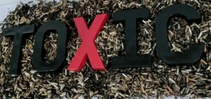Almost One Million Cigarette Butts Collected on Global ‘No Butts Day’