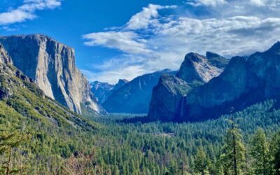 The Dark Side of Ecotourism