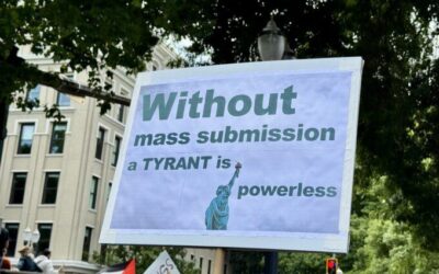 Which Way Forward For The Resistance?