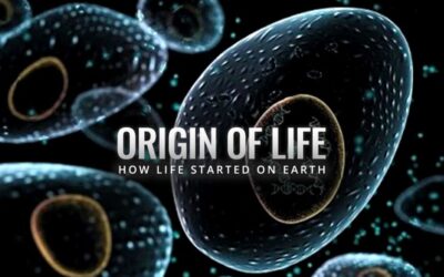 Prospects for the Continuation of Life on Earth and of the Human Species