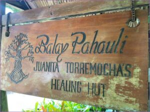 Empowering Change Beyond Conference Halls: The 5th HLU’s Immersive Natural Classroom Experience in Siquijor Island, Part 2