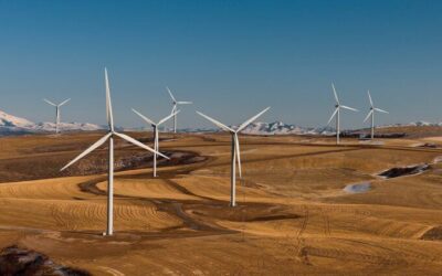Trump Sabotages Clean Energy as Power Demand and Outages Increase