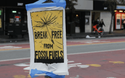 A “Hyper-Local” View of Climate Change Activism