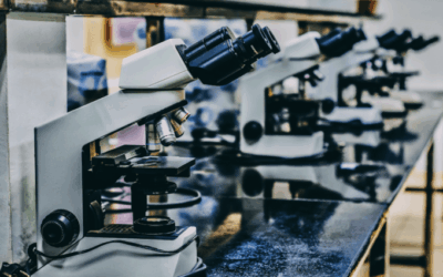 The Frontier Research at Michael Levin’s Biology Lab