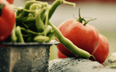 Grow Your Own Food—and a Kinder World