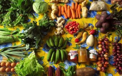 Alimentação: os porquês da produção e consumo locais