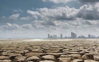 COPAJU celebró la Opinión Consultiva sobre Cambio Climático y Derechos Humanos