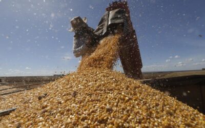 Un puñado de corporaciones consolidó un control sin precedentes sobre el suministro mundial de alimentos, según investigación