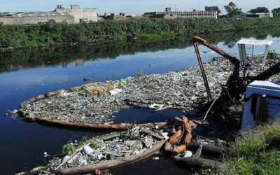 Contaminaciones