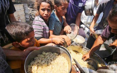 Israeli organisations say Israel is committing genocide in Gaza
